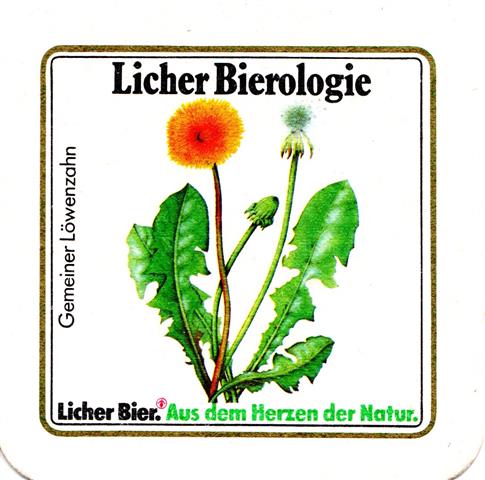 lich gi-he licher biero blu fass 3b (quad185-gemeiner lwenzahn) 